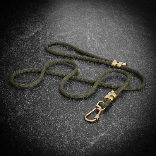 Green dog leash with brass hardware on a dark textured background