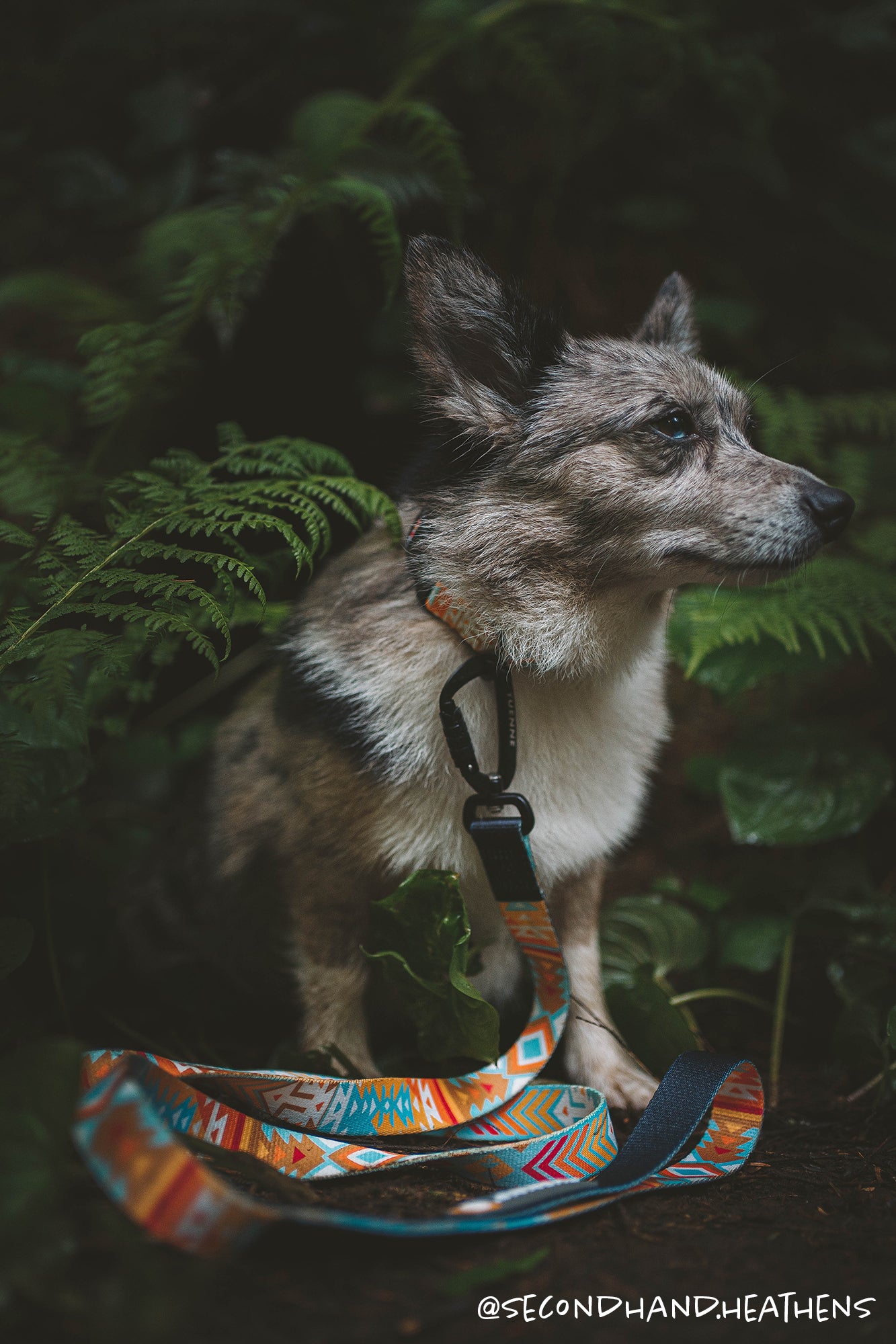 Handmade in the USA Tuenne dog leash and collar set with original Southwest design
