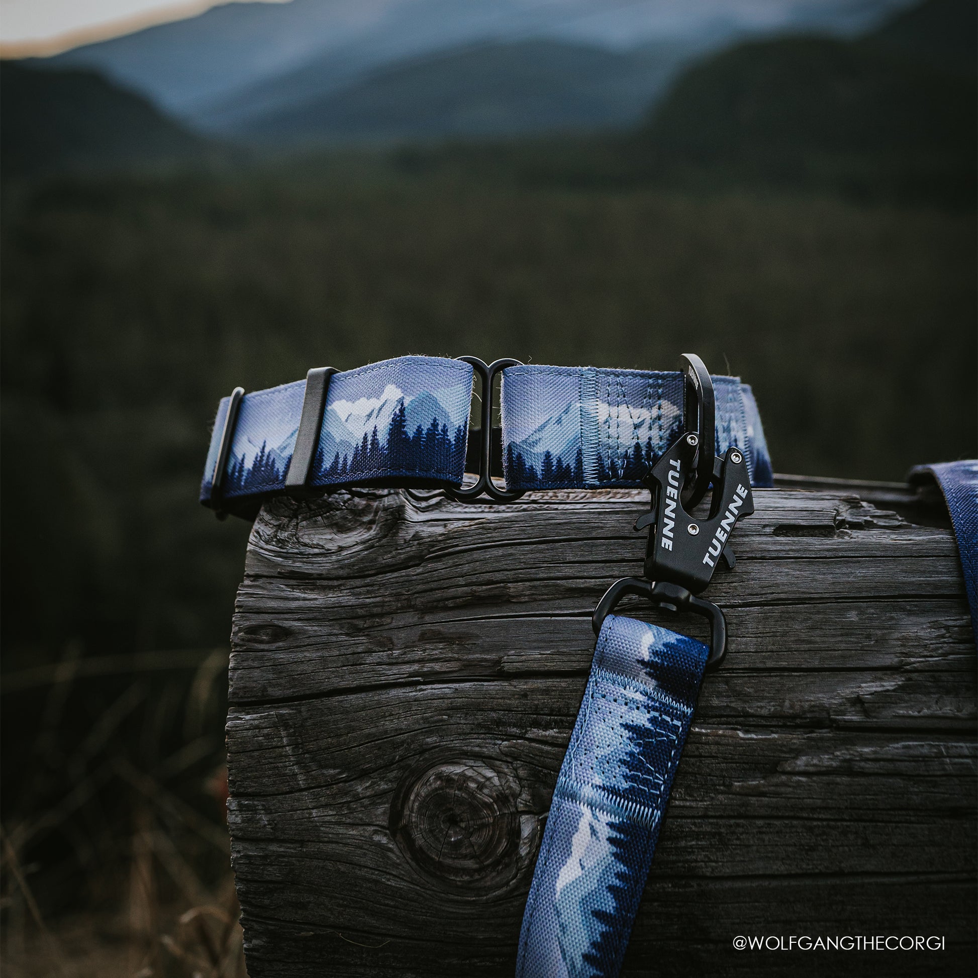 Close-up of Tuenne Sierra Nevada leash featuring frog clip and wide nylon webbing