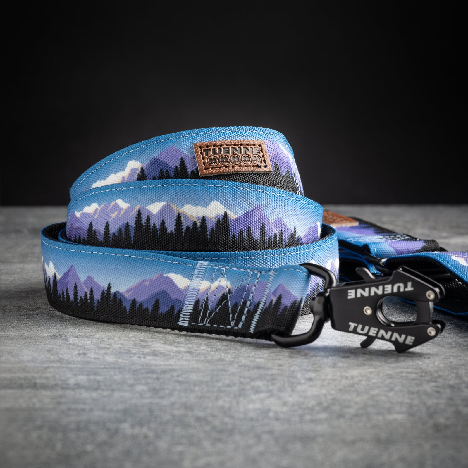 Tuenne Sierra Nevada dog leash and collar set in blue and purple – full product view