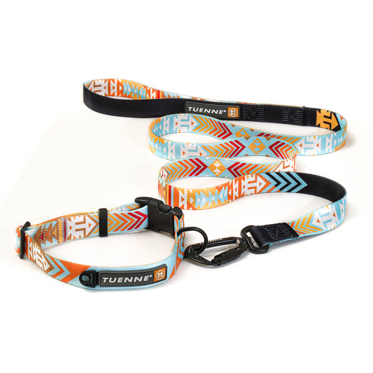 Tuenne Southwest leash and collar set with auto-locking carabiner and original artwork