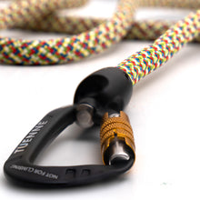 2- in-1 Game Changer Dog Leash