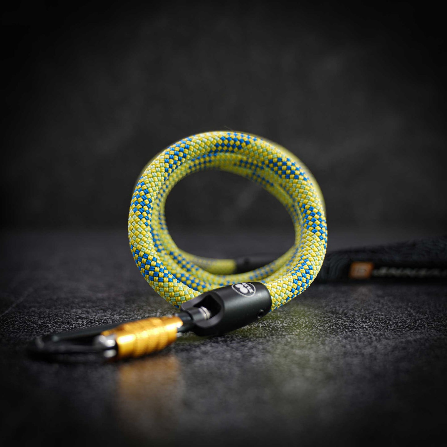 A rope dog lead with a yellow and blue woven pattern, coiled on a dark textured surface with a black carabiner and gold-toned hardware attached.