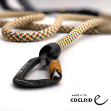 tuenne climbing rope dog leash with swivel and carabiner 