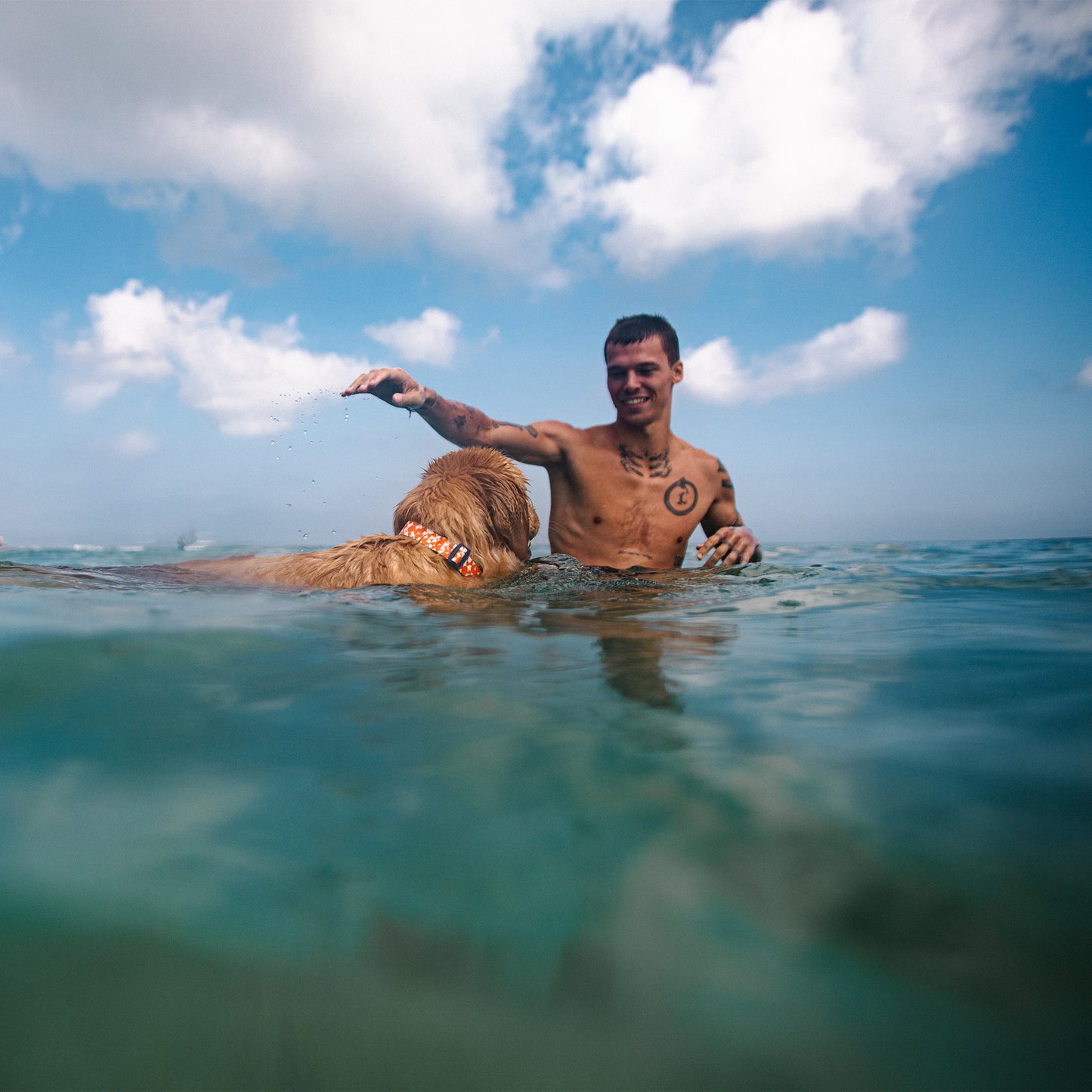 Waterproof Dog Collar – Geo Oceanproof™ Silicone-Coated | Odor-Resistant | Tuenne