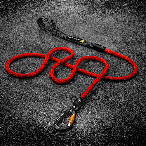 Full view of red climbing rope dog leash with aluminium hardware – Tuenne