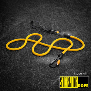 dog leash climbing rope carabiner swivel 
