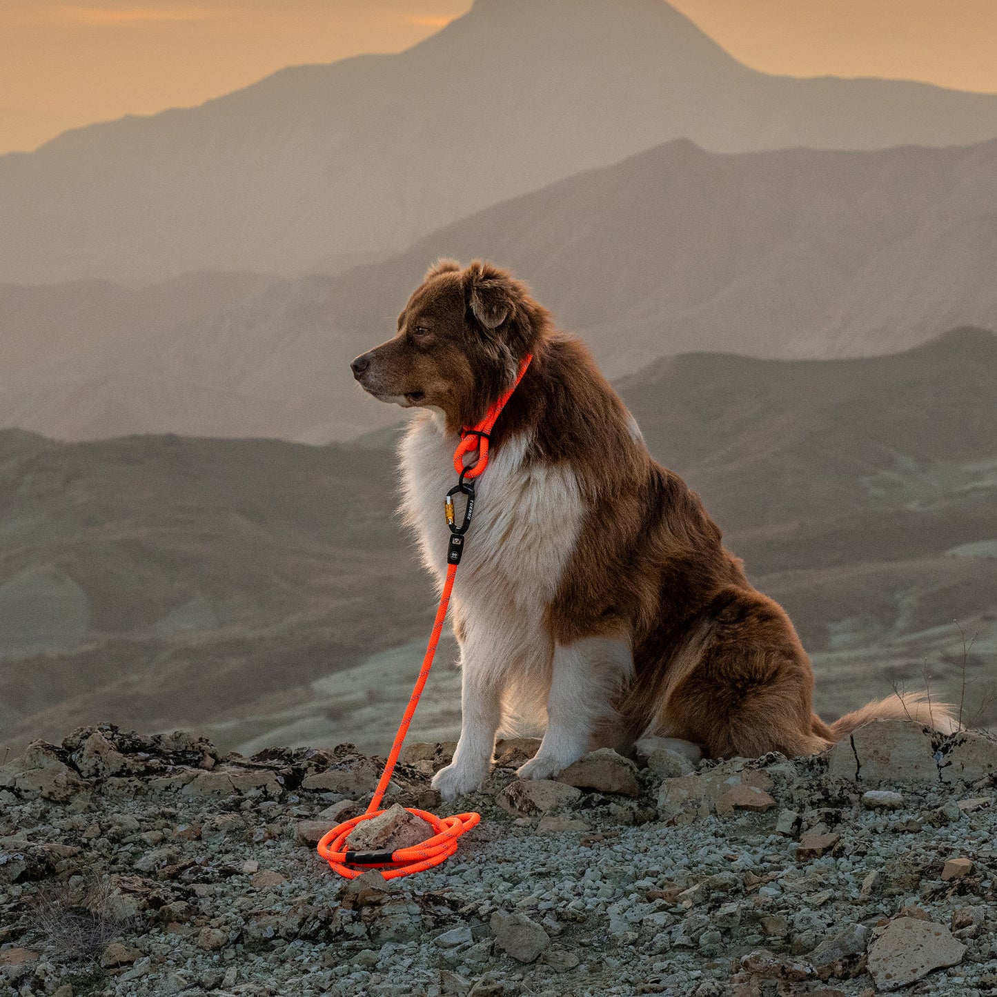 Adjustable slip dog collar made from climbing rope – Small Norte by Tuenne in orange