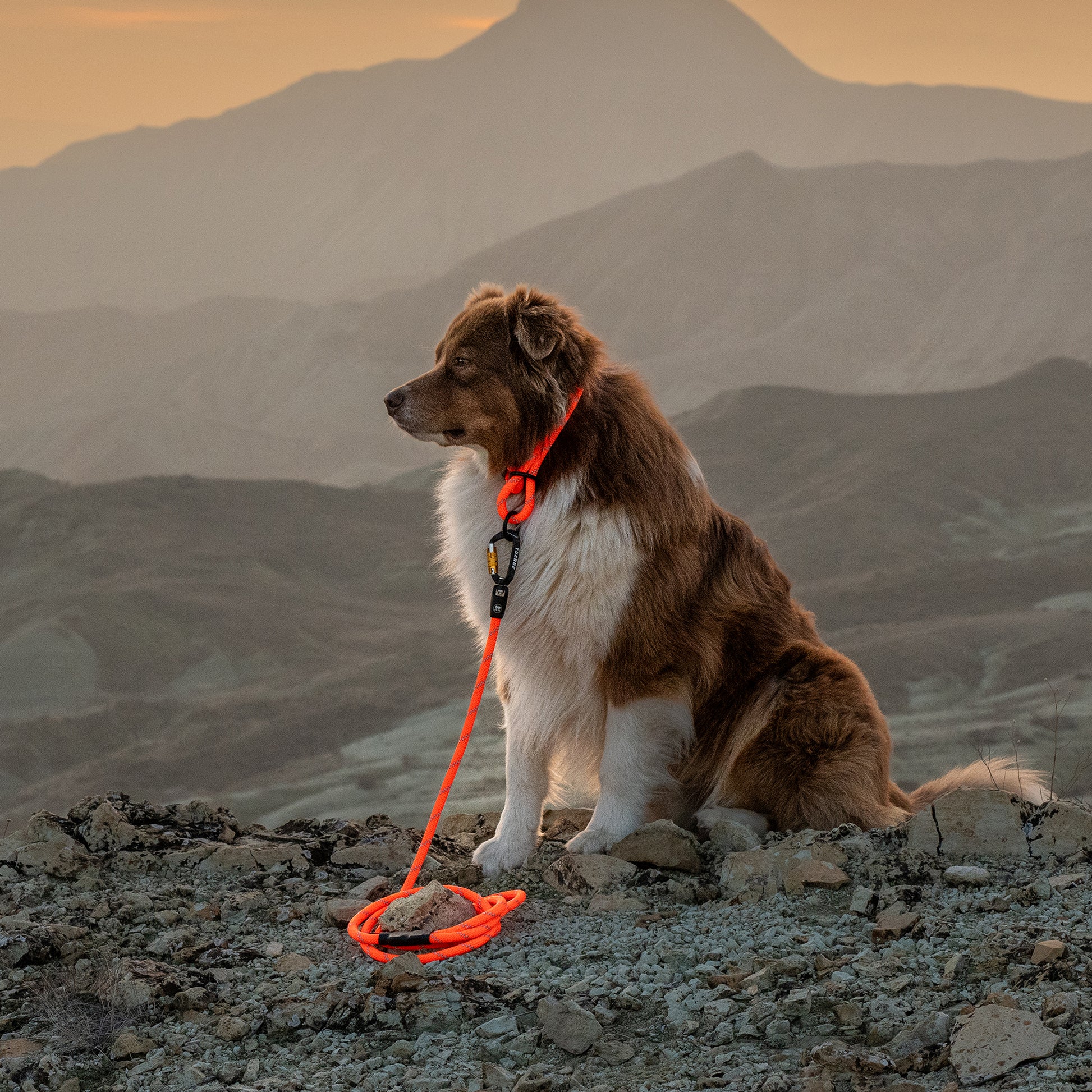 Adjustable slip dog collar made from climbing rope – Small Norte by Tuenne in orange