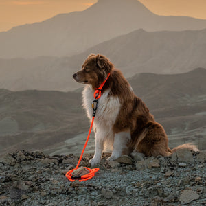 Adjustable slip dog collar made from climbing rope – Small Norte by Tuenne in orange