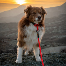 Adjustable slip dog collar made from climbing rope – Small Norte by Tuenne in red