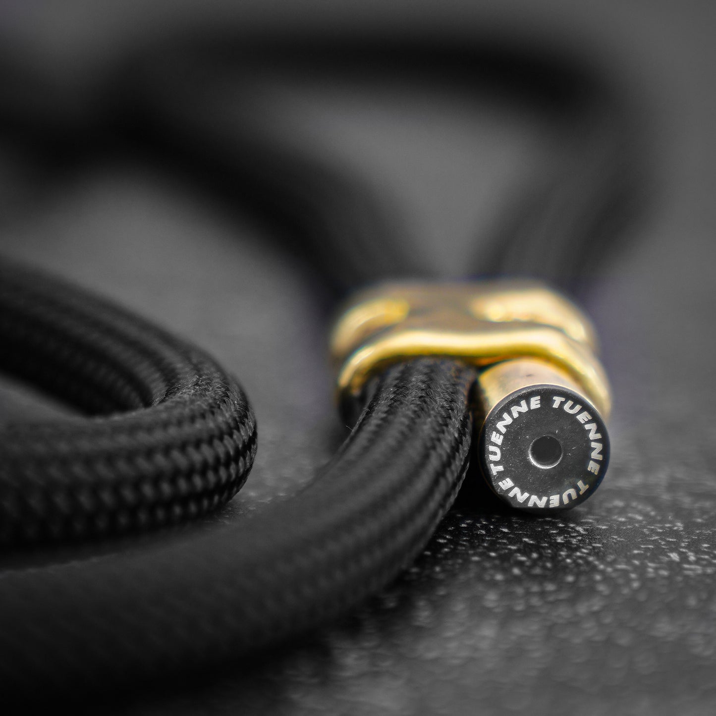Black dog leash with brass hardware on a dark textured background