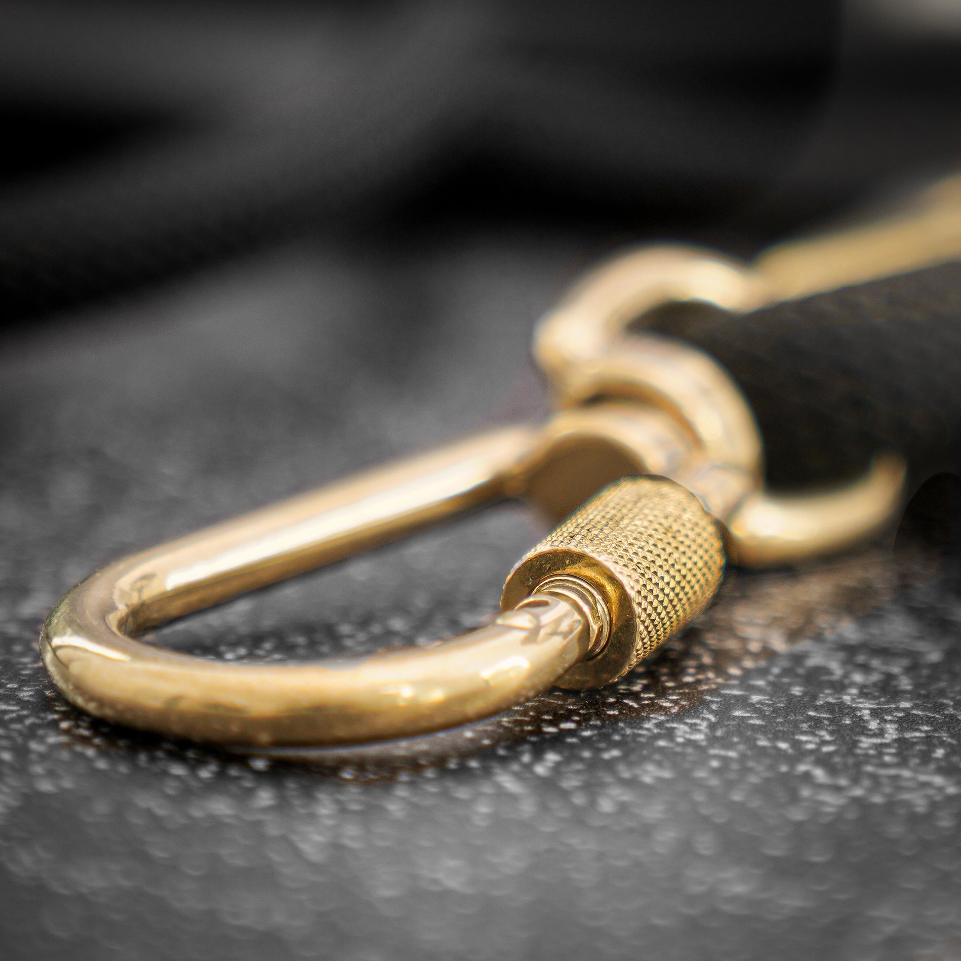 brass carabiner on a dark textured surface
