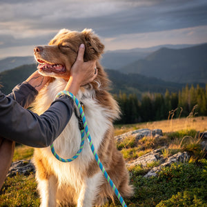 Dog hiking with Tuenne Boulder Hybrid dog leash blue green