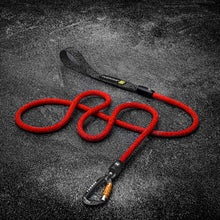 Red climbing rope leash flat lay