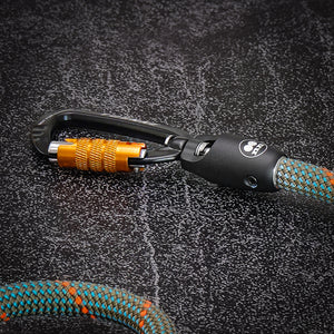 Auto-locking carabiner detail on Tuenne double leash