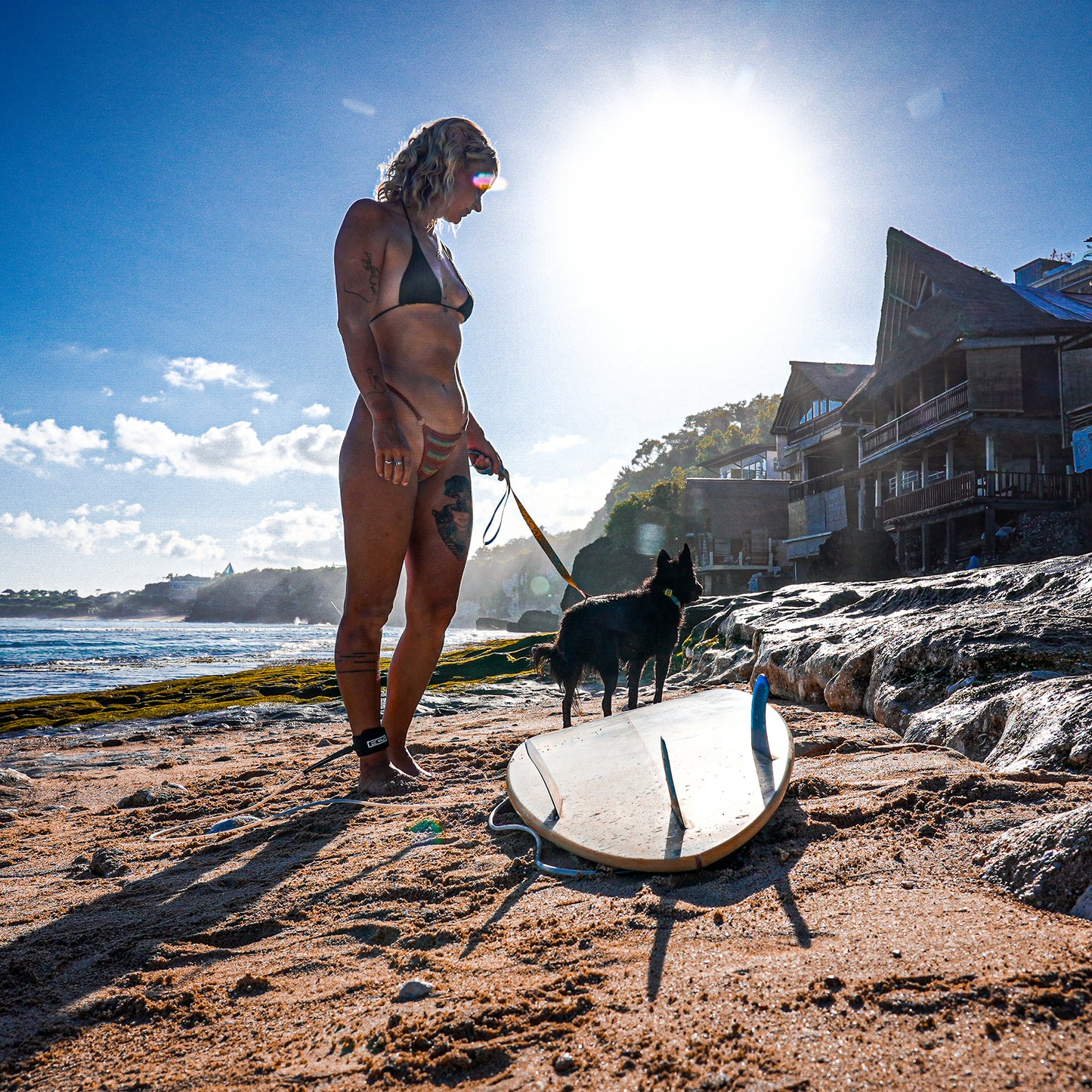 Dog on Bingin beach wearing Tuenne waterproof leash and collar during outdoor adventure – flexible and dirt-proof