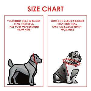 Measurement guide for selecting the right Tuenne slip dog collar