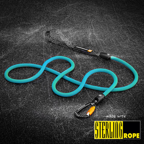 Ion Blue Rope Dog Leash by Tuenne – full product view