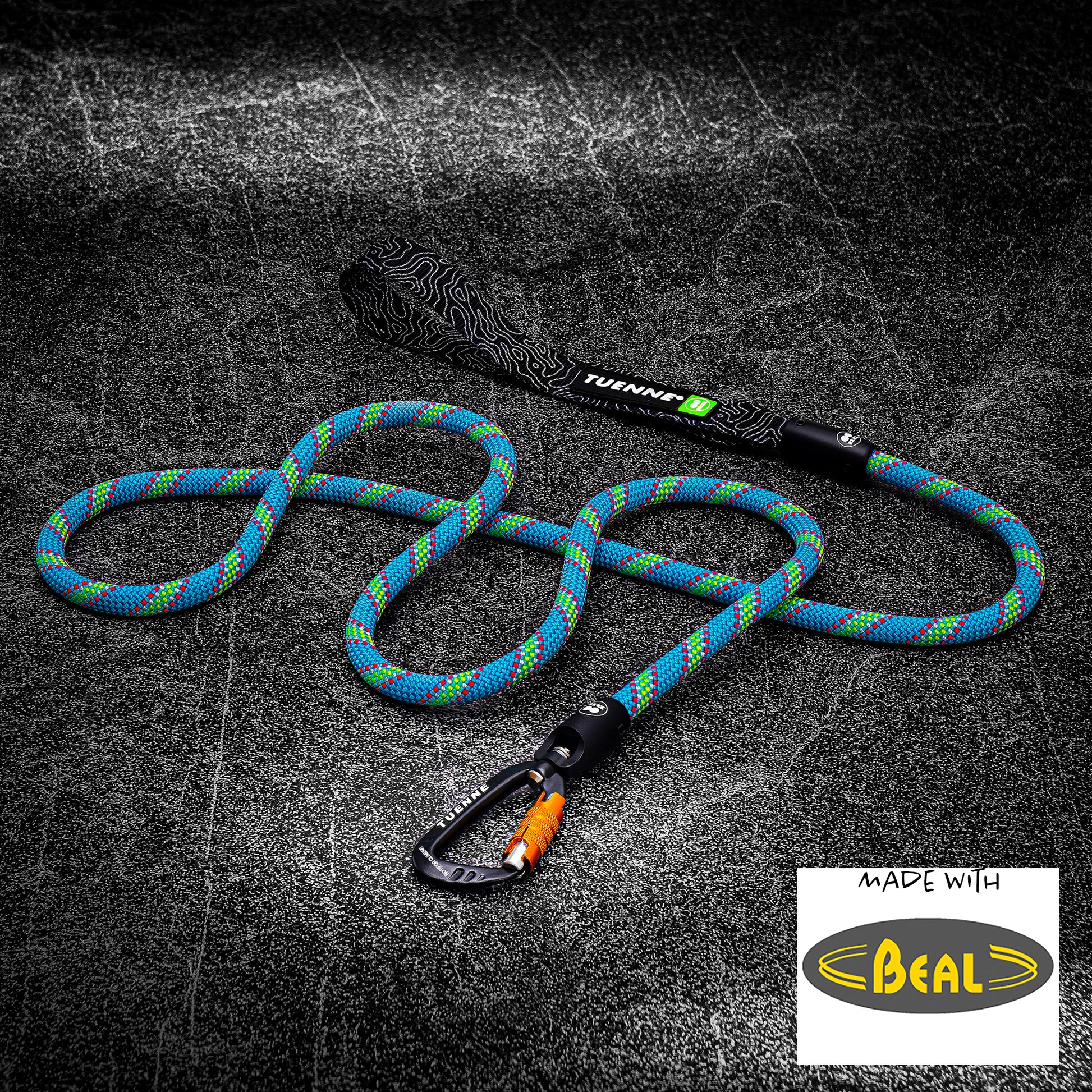 Tuenne 9.5mm Beal dynamic rope dog leash in blue-green stripe with carabiner