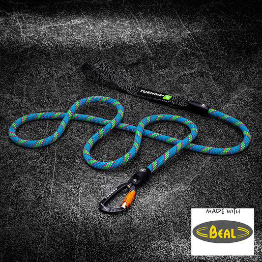 Tuenne 9.5mm Beal dynamic rope dog leash in blue-green stripe with carabiner