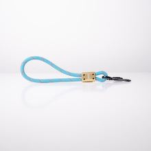 SEND-IT Mini Traffic Dog Leash by Tuenne blue gold