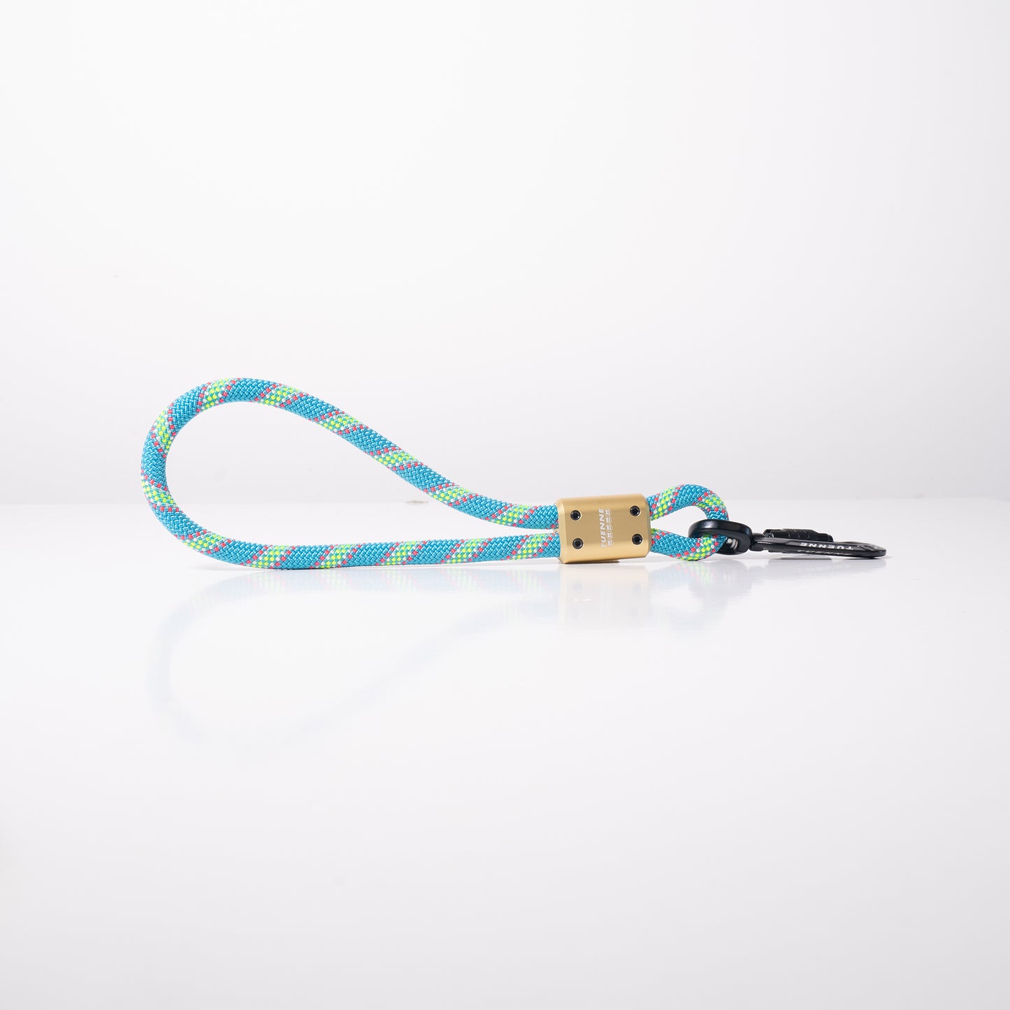 Compact Mini Dog Leash Used in Urban Area Green Blue Gold
