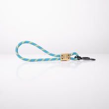 Compact Mini Dog Leash Used in Urban Area Green Blue Gold