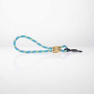 Compact Mini Dog Leash Used in Urban Area Green Blue Gold
