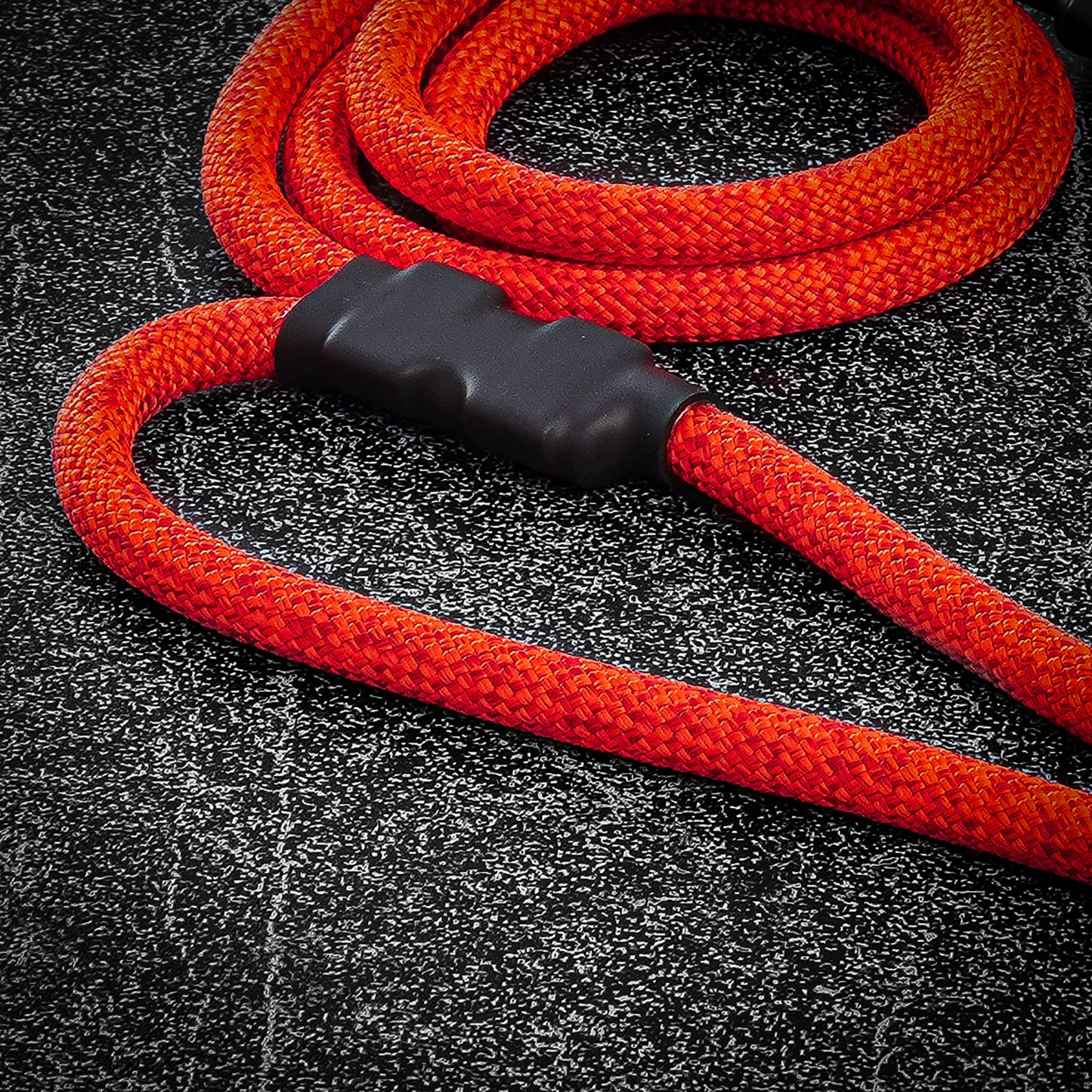 tuenne-traffic-dog-leash-orange-close