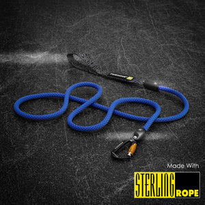 dog leash climbing rope carabiner purple