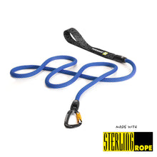 dog leash climbing rope carabiner swivel 