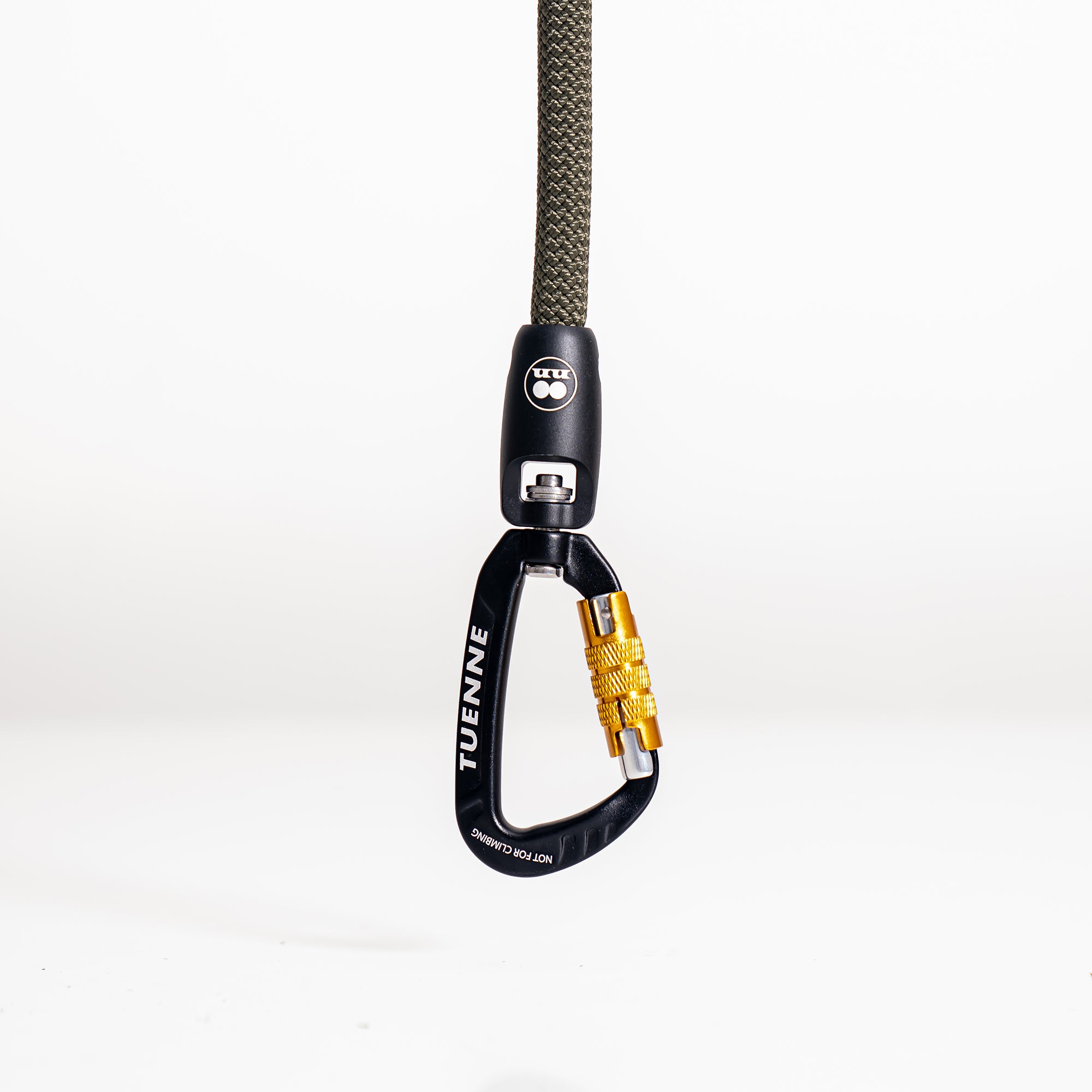 Carabiner clip dog leash best sale