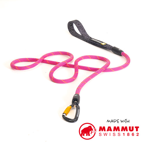 dog leash climbing rope carabiner swivel 