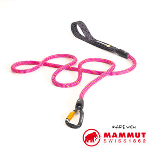 dog leash climbing rope carabiner swivel 