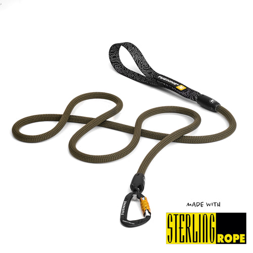 Dog Leash carabiner climbing rope swivel