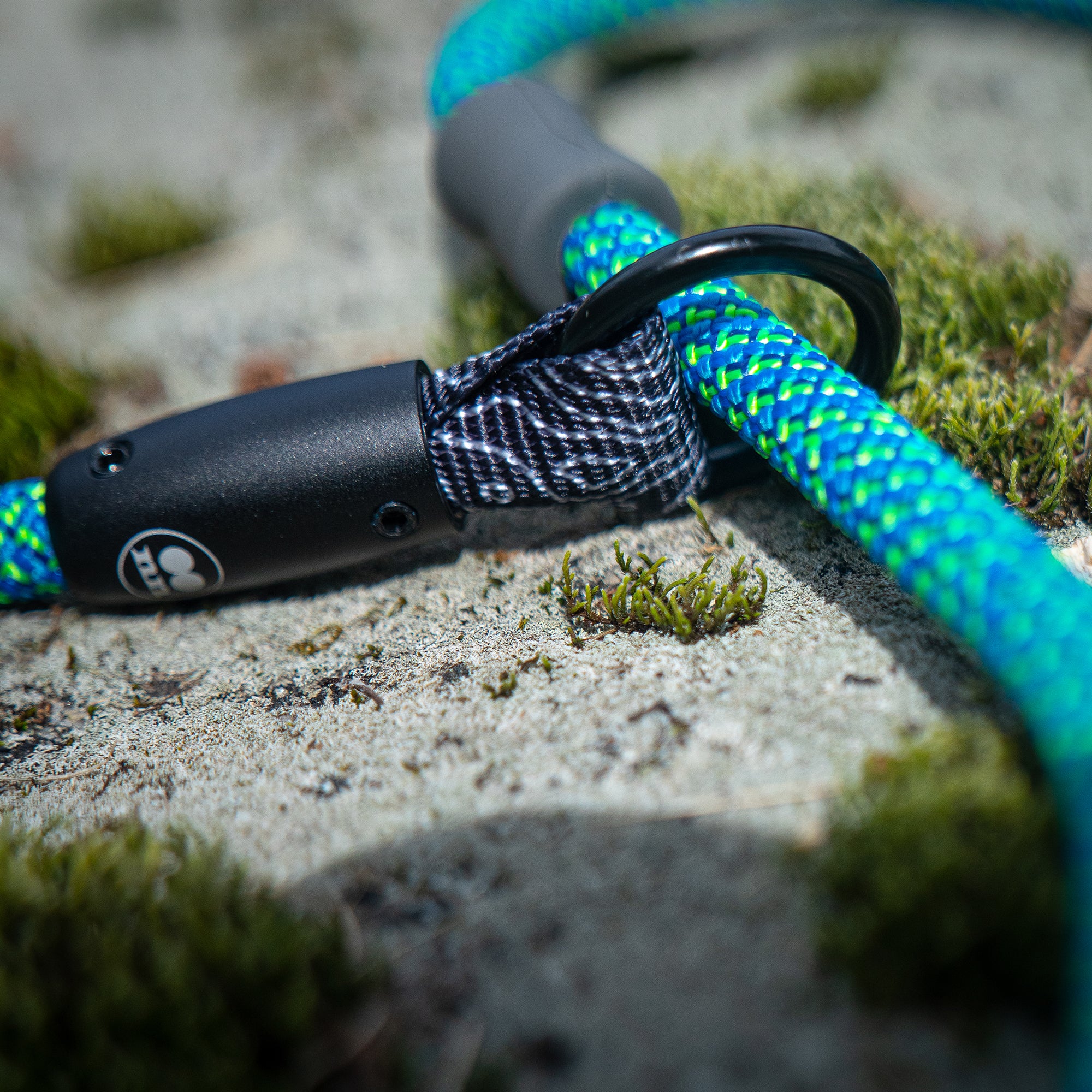 Tuenne leash on sale