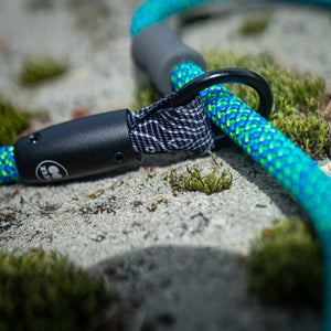 tuenne_rope_dog_leash_slip_leash