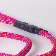Customizable Norte Dog Leash