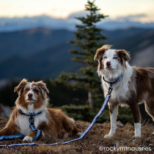 Sierra Nevada Leash