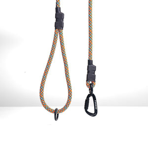Customizable Norte Dog Leash