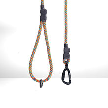 Customizable Norte Dog Leash