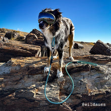 Customizable Norte Dog Leash