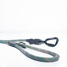 climbing rope dog leash swivel carabiner