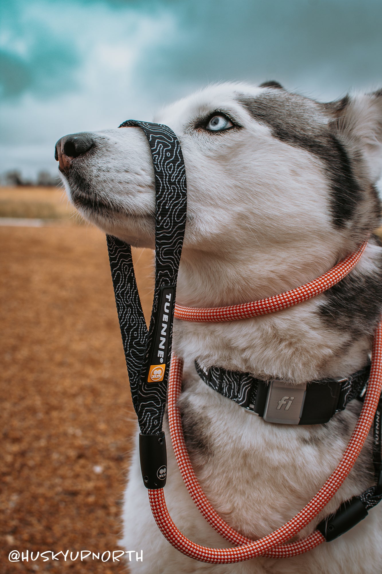 tuenne tactical x fi compatible dog collar gps topographic design 