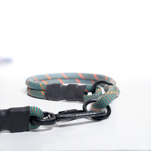 climbing rope dog leash swivel carabiner