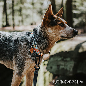 southwest pattern dog leash dog collar