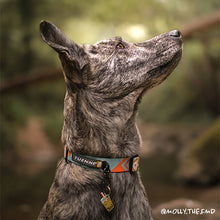 tuenne southwest aztec native dog collar