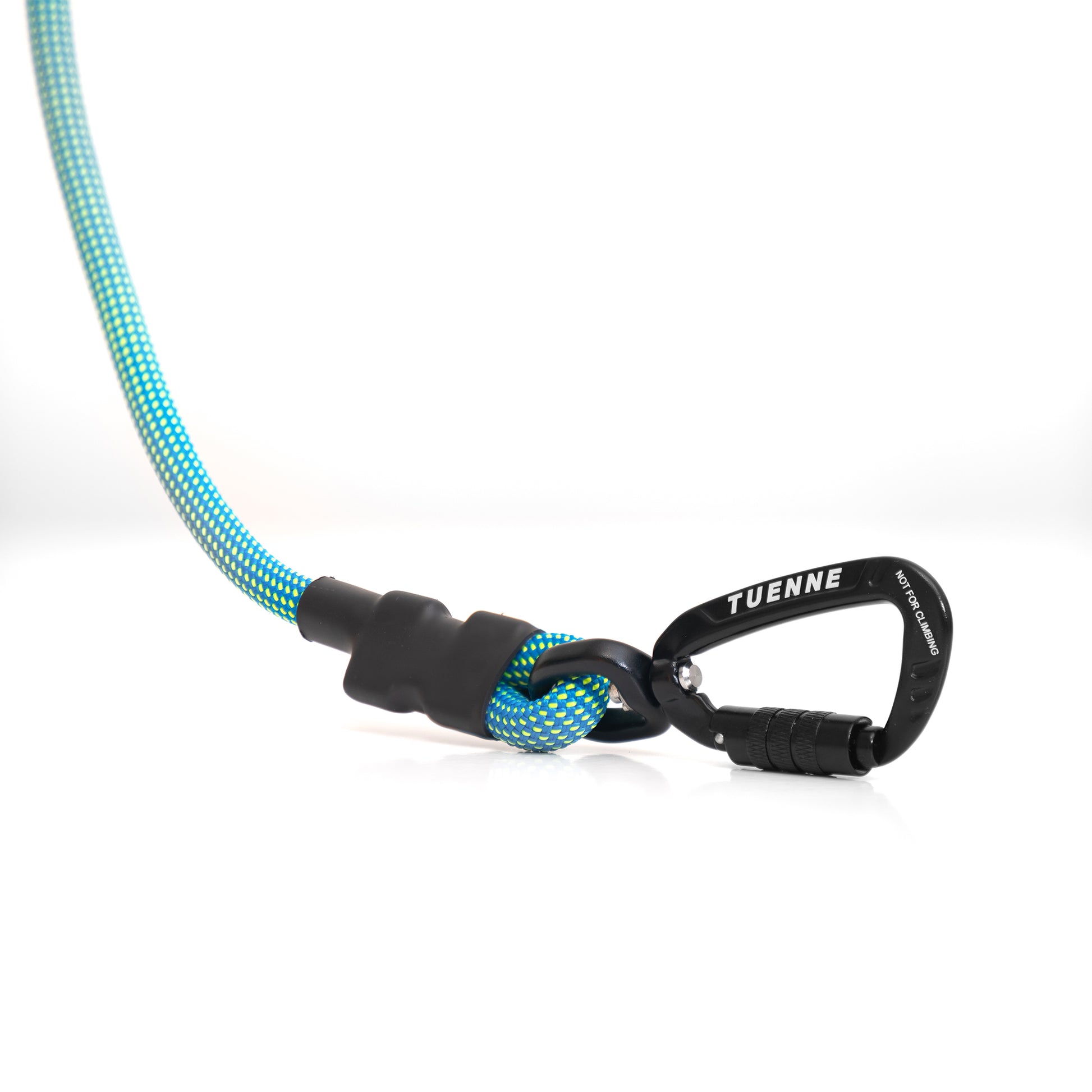 Close-up of carabiner on Norte blue carabiner dog leash