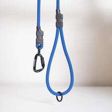 Blue Close-up of carabiner on Norte orange dog leash